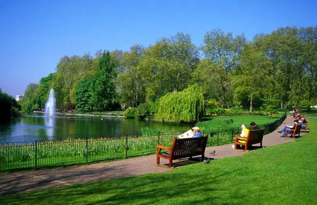 People relax on benches by a pond, enjoying the view of a fountain in a serene outdoor setting